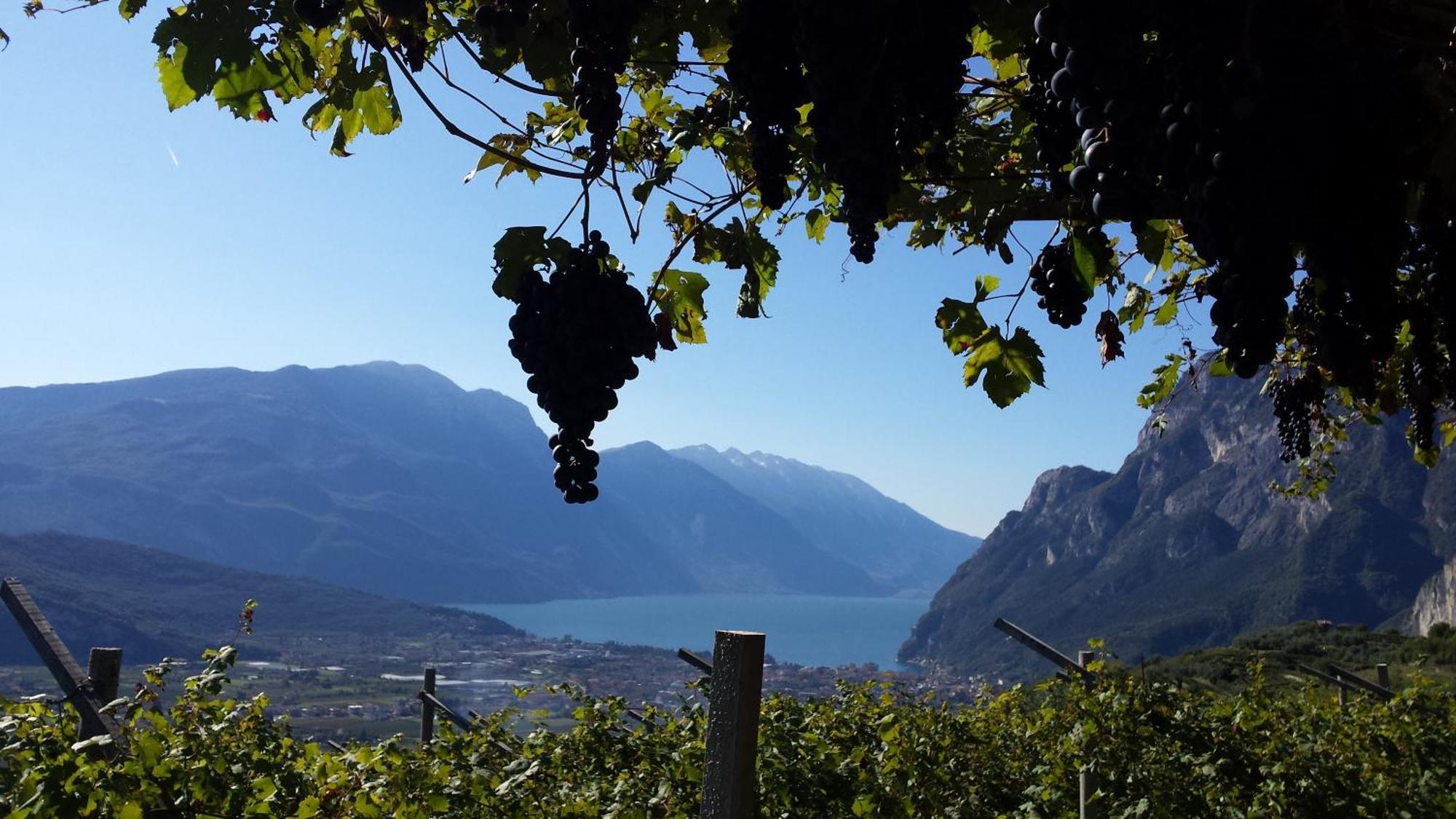 텐노 Agritur Calvola 빌라 외부 사진